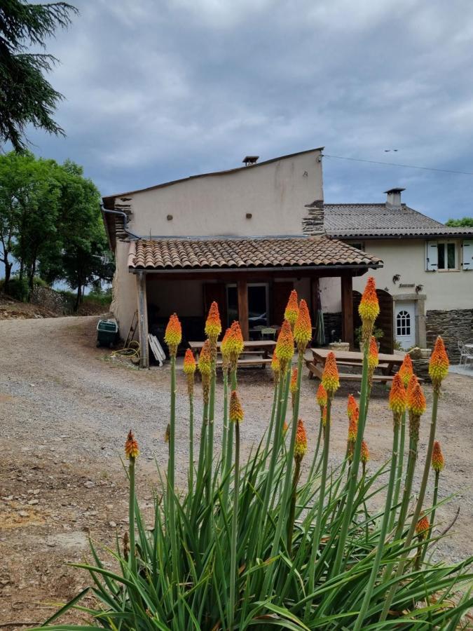 فيلا L'Oeil De Carcassonne Caudebronde المظهر الخارجي الصورة